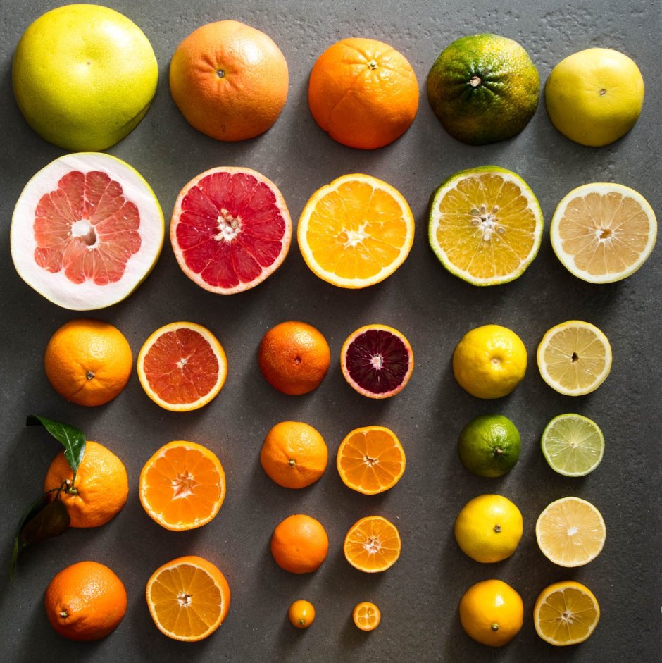 Апельсин мандарин лимон грейпфрут