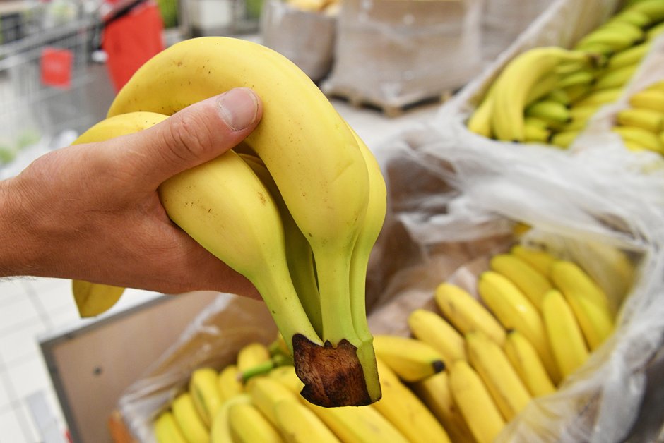 Эквадорские производители бананов
