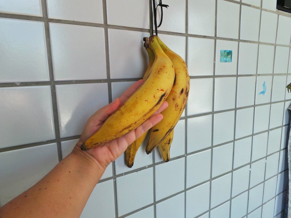 14 На бананах