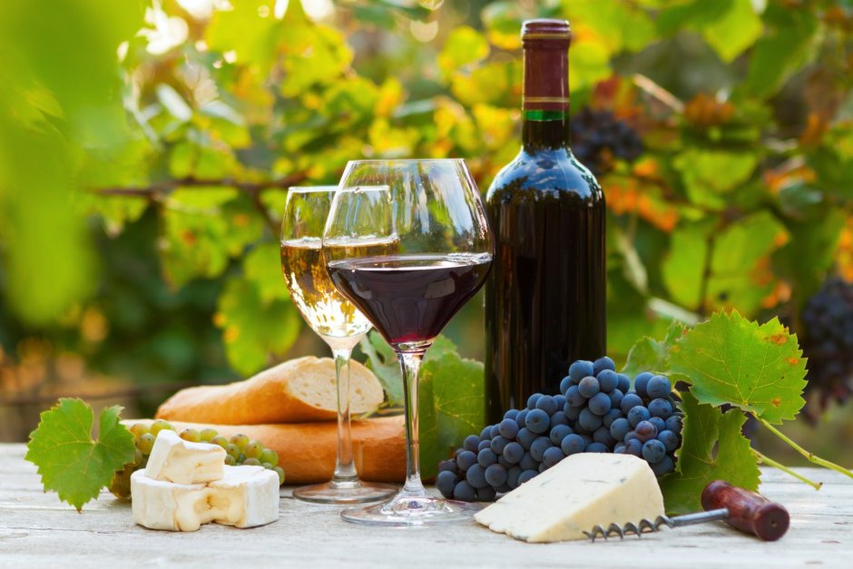 Вино в бокале и виноградники