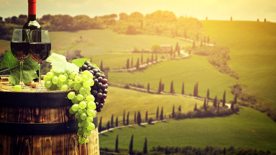 Италия Тоскана поля виноградные
