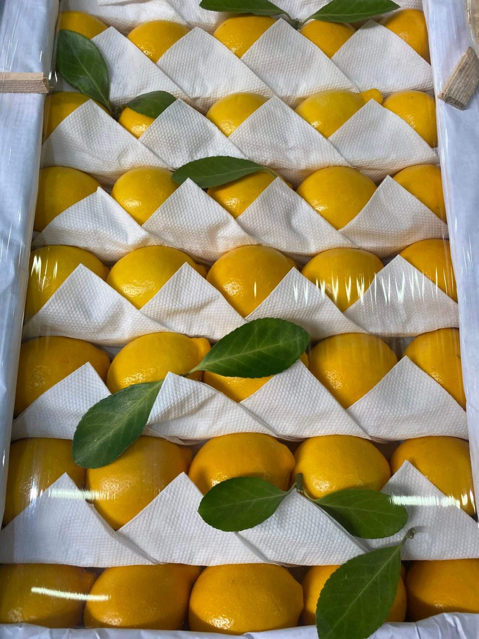 Узбекистанский лимон