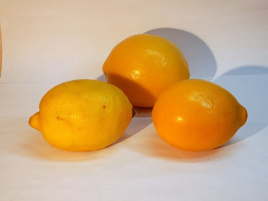 Узбекский (Ташкентский) оранжевый лимон