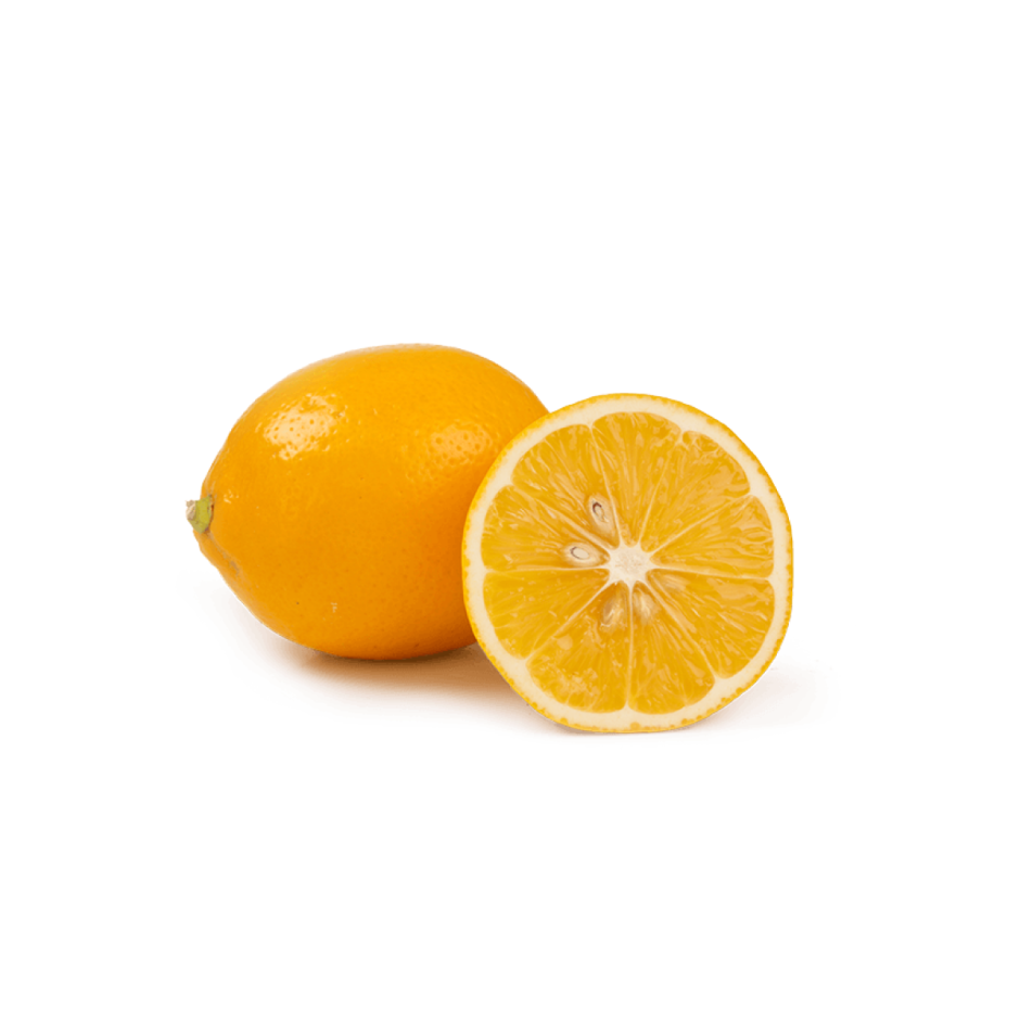 Сорт лимона Ташкентский