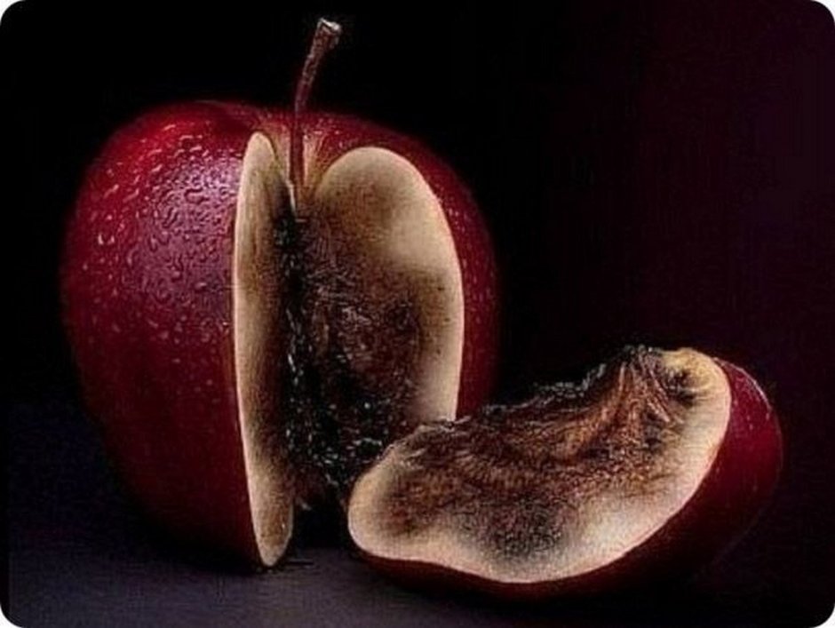 Красивое яблоко гнилое внутри