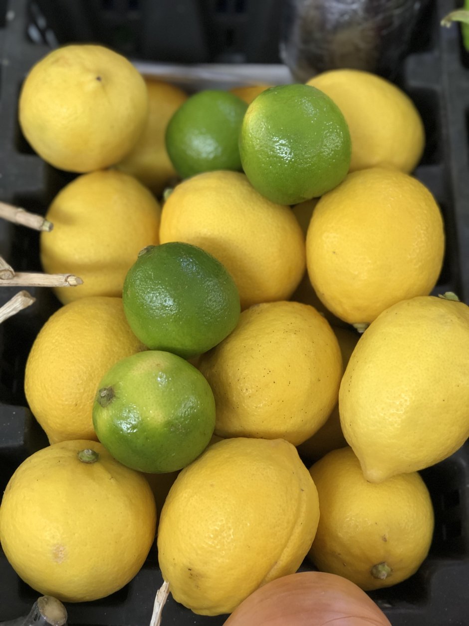 Лимон экзотический