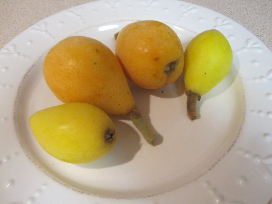 Желтый фрукт с косточкой