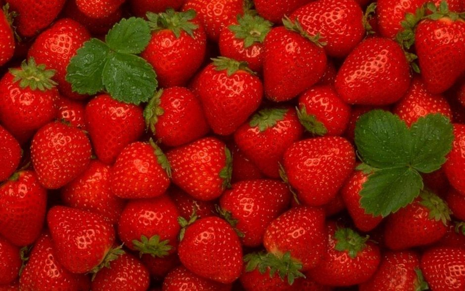 Красивые ягоды