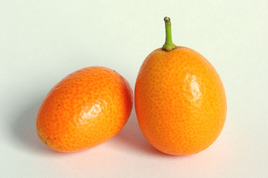 Цитрус маленький оранжевый продолговатый