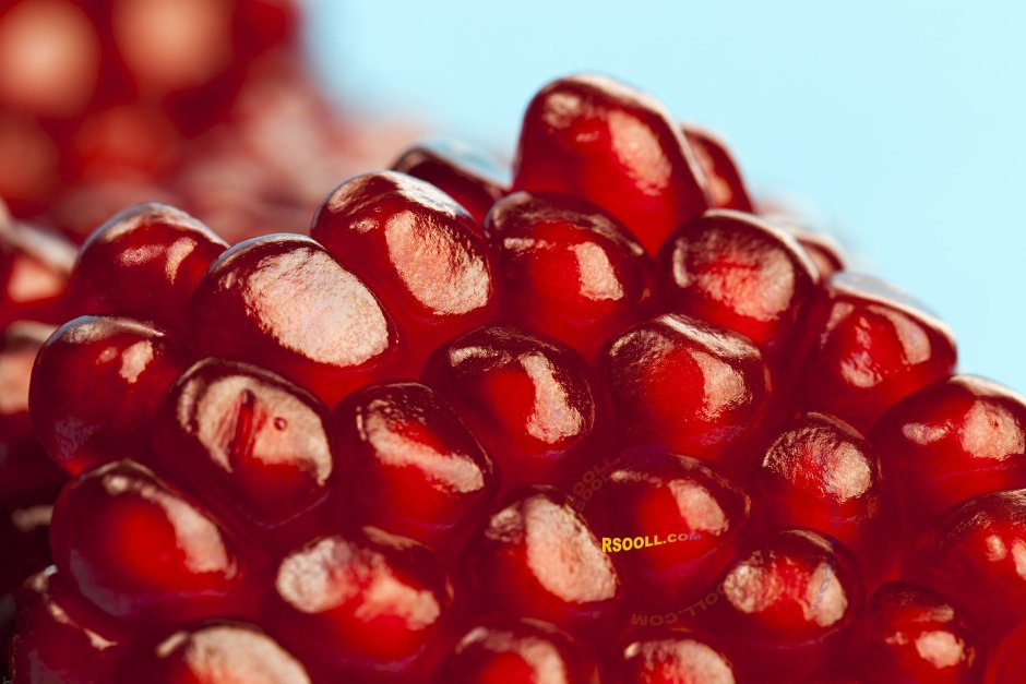 FITPOD (Cherry Pomegranate)