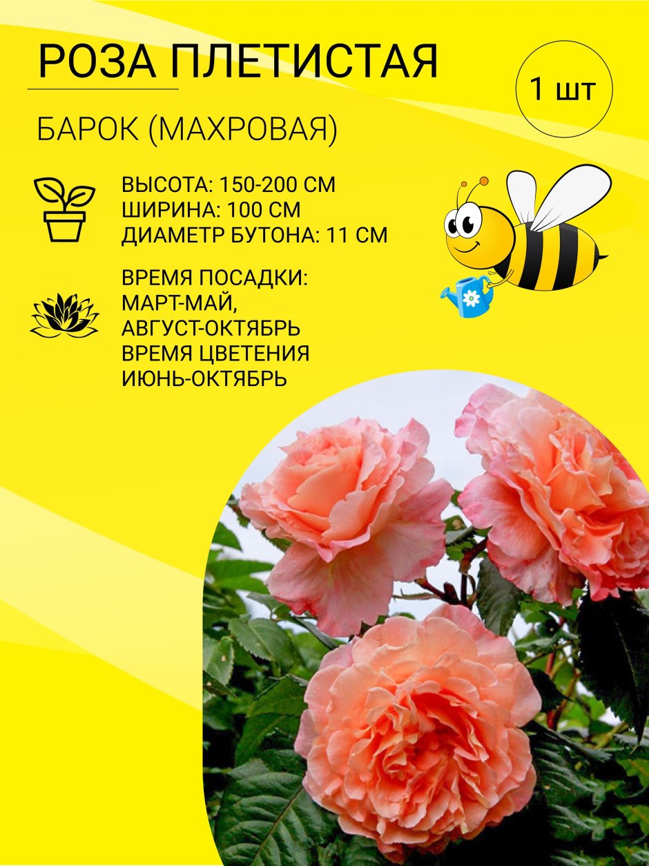 Пчелка Садовод