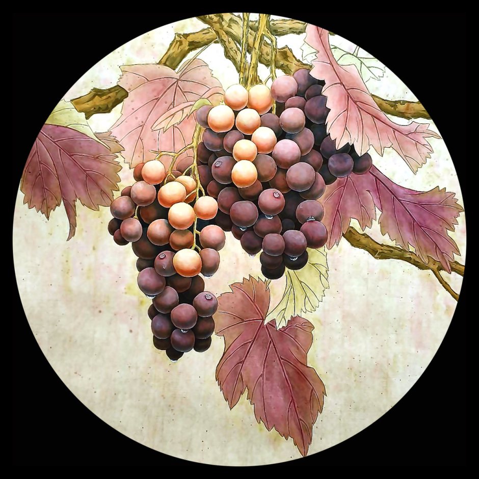Гунби виноград постадийка