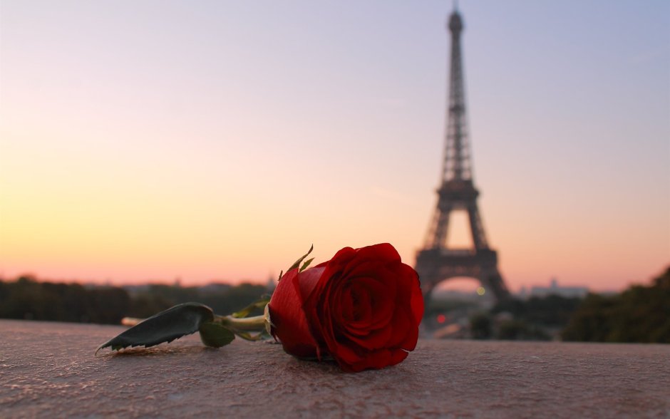Париж эльфивая башня цветы