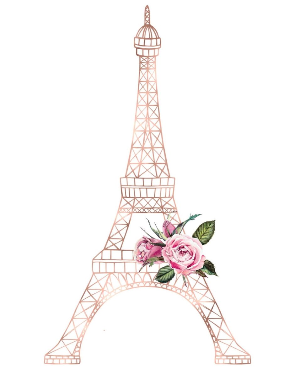 Иллюстрация цветы / Париж